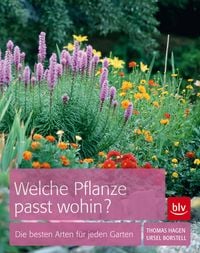 Produktbild Welche Pflanze passt wohin?
