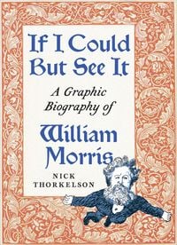 Produktbild: If I Could But See It