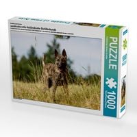 Produktbild: CALVENDO Puzzle Ein Motiv aus dem Kalender ausdrucksvolle Holl&auml;ndische Sch&auml;ferhunde | 1000 Teile Lege-Gr&ouml;&szlig;e 64x48cm Foto-Puzzle f&uuml;r gl&uuml;ckliche Stunden