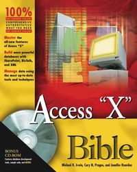 Produktbild: Access 2003 Bible