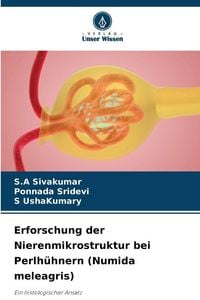Produktbild: Erforschung der Nierenmikrostruktur bei Perlh&uuml;hnern (Numida meleagris)