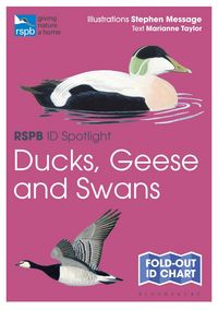 Produktbild: RSPB ID Spotlight - Ducks, Geese and Swans