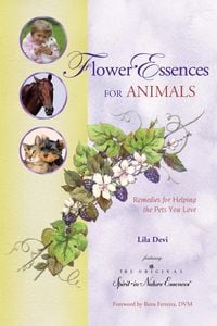 Produktbild: Flower Essences for Animals