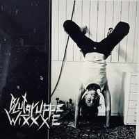 Produktbild: Blutgruppe Wixxxe (+Bonus-7)