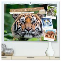Produktbild: Bedrohte Tierwelt SCHATTEN DES VERSCHWINDENS (hochwertiger Premium Wandkalender 2026 DIN A2 quer), Kunstdruck in Hochglanz