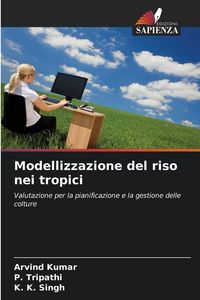Produktbild: Modellizzazione del riso nei tropici