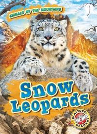 Produktbild: Snow Leopards