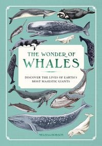 Produktbild: The Wonder of Whales