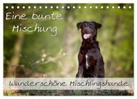 Produktbild: Eine bunte Mischung - wundersch&ouml;ne Mischlingshunde / Geburtstagskalender (Tischkalender 2026 DIN A5 quer), CALVENDO Monatskalender