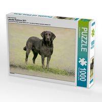 Produktbild: CALVENDO Puzzle Ein Motiv aus dem Kalender Labrador Retriever 2017 | 1000 Teile Lege-Gr&ouml;&szlig;e 64x48cm Foto-Puzzle f&uuml;r gl&uuml;ckliche Stunden