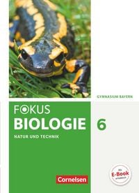 Produktbild: Fokus Biologie - Neubearbeitung - Gymnasium Bayern - 6. Jahrgangsstufe