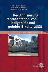 Produktbild: Re-Ethnisierung, Repr&auml;sentation von Indigenit&auml;t und gelebte Bikulturalit&auml;t