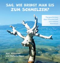 Produktbild: Sag, wie bringt man Eis zum Schmelzen?