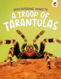 Produktbild: Discovering Insects: A Troop of Tarantulas