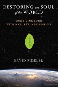 Produktbild: Fideler, D: Restoring the Soul of the World