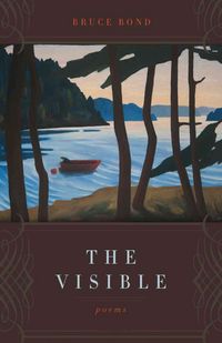 Produktbild: The Visible