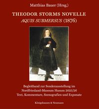 Produktbild: Theodor Storms Novelle Aquis submersus (1876)