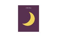 Bild vom Artikel Moleskine Limited Edition Bundle Petit Prince, Notebook and Cahier Jounal, Large, Moon, Hard Cover (5 x 8.25) vom Autor Moleskine