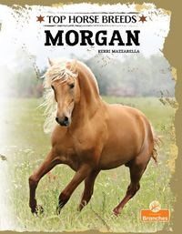 Produktbild: Morgan