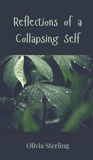 Produktbild: Reflections of a Collapsing Self