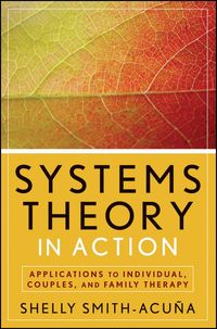 Produktbild: Systems Theory in Action