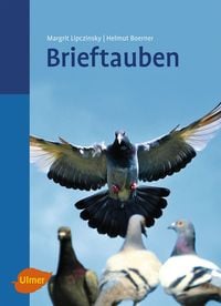 Produktbild: Brieftauben