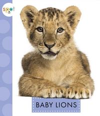 Produktbild: Baby Lions