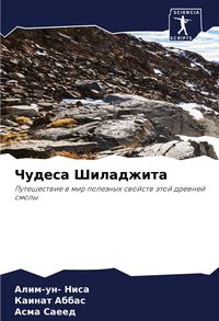 Produktbild: Chudesa Shiladzhita