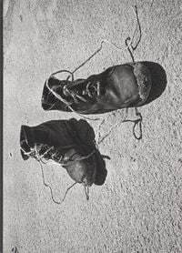 Produktbild: Josef Koudelka: Diaries