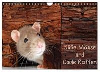 Produktbild: S&uuml;&szlig;e M&auml;use und Coole Ratten (Wandkalender 2027 DIN A4 quer), CALVENDO Monatskalender