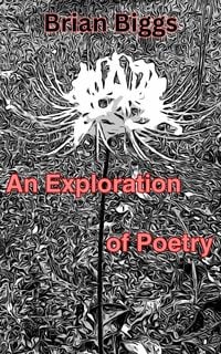 Produktbild: An Exploration of Poetry