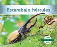 Produktbild: Escarabajo hercules/ Hercules Beetle
