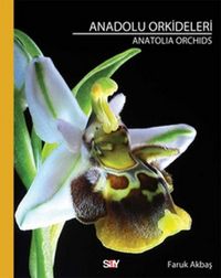 Produktbild: Anadolu Orkideleri