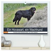 Produktbild: Ein Hovawart, ein Wachhund (hochwertiger Premium Wandkalender 2026 DIN A2 quer), Kunstdruck in Hochglanz