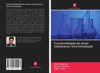 Produktbild: Funcionaliza&ccedil;&atilde;o de v&aacute;rios Calixarenos: Uma Introdu&ccedil;&atilde;o