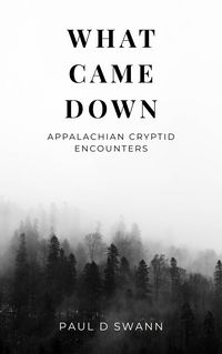 Produktbild: What Came Down