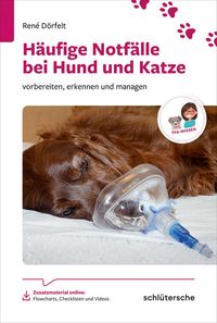 Bild vom Artikel Häufige Notfälle bei Hund und Katze vom Autor René Dörfelt