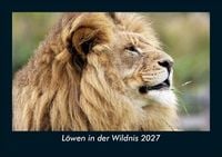 Produktbild: L&ouml;wen in der Wildnis 2027 Fotokalender DIN A5