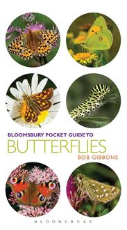 Produktbild: Pocket Guide to Butterflies