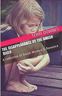 Produktbild: The Disappearance By The Amish River