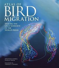 Produktbild: Atlas Of Bird Migration