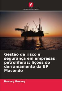 Produktbild: Gest&atilde;o de risco e seguran&ccedil;a em empresas petrol&iacute;feras: li&ccedil;&otilde;es do derramamento da BP Macondo