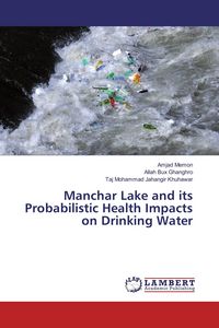 Produktbild: Manchar Lake and its Probabilistic Health Impacts on Drinking Water