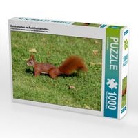 Produktbild: CALVENDO Puzzle Eichh&ouml;rnchen im ParkEichh&ouml;rnchen | 1000 Teile Lege-Gr&ouml;&szlig;e 64x48cm Foto-Puzzle f&uuml;r gl&uuml;ckliche Stunden