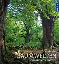 Produktbild: Baumwelten