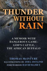 Produktbild: Thunder Without Rain