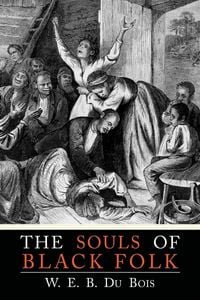 Produktbild: The Souls of Black Folk