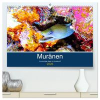 Produktbild: Mur&auml;nen - Kurzsichtige J&auml;ger im Korallenriff (hochwertiger Premium Wandkalender 2026 DIN A2 quer), Kunstdruck in Hochglanz