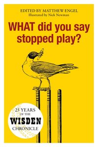 Produktbild: WHAT Did You Say Stopped Play?