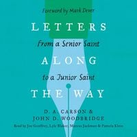 Produktbild: Letters Along the Way